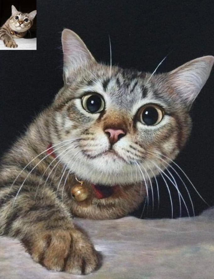 Pintura de un gato