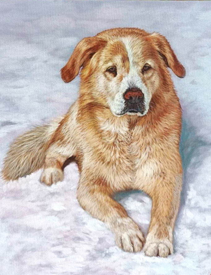 Retrato de un perro rojo