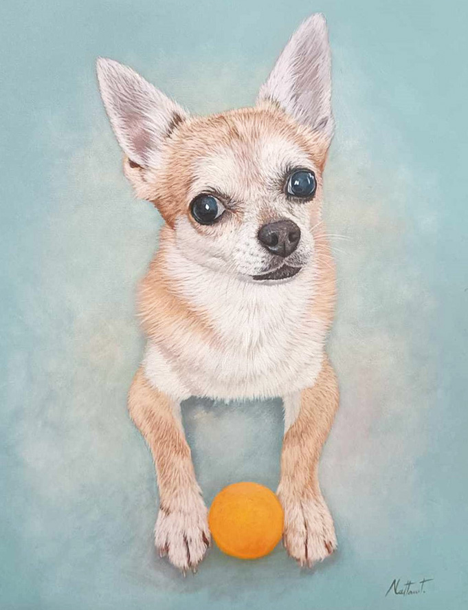 Pintura de un perro pequeño